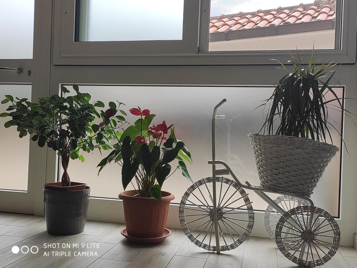 Il Labirinto Bed & Breakfast Sulmona Exterior photo